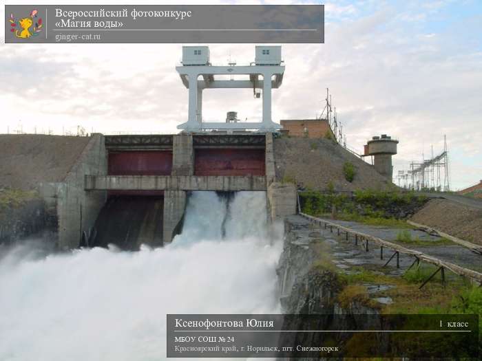 Всероссийский фотоконкурс «Магия воды»  - детский рисунок, поделка, творческая работа, категория школьники, 1 класс, дистанционный конкурс, школьный конкурс