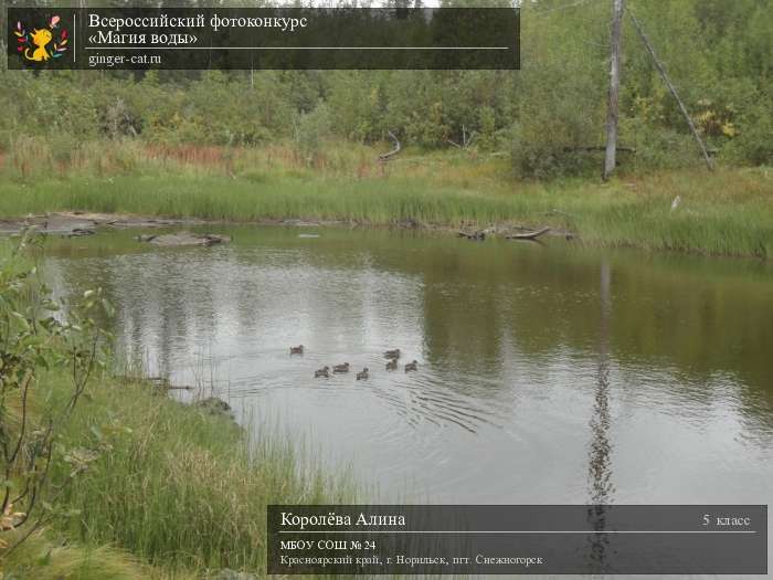 Всероссийский фотоконкурс «Магия воды»  - детский рисунок, поделка, творческая работа, категория школьники, 5 класс, дистанционный конкурс, школьный конкурс