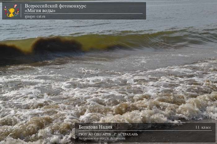 Всероссийский фотоконкурс «Магия воды»  - детский рисунок, поделка, творческая работа, категория школьники, 11 класс, дистанционный конкурс, школьный конкурс