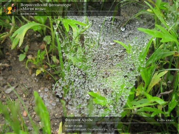 Всероссийский фотоконкурс «Магия воды»  - детский рисунок, поделка, творческая работа, категория школьники, 9 класс, дистанционный конкурс, школьный конкурс