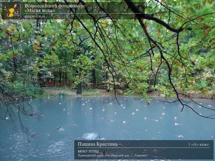 Всероссийский фотоконкурс «Магия воды»  - детский рисунок, поделка, творческая работа, категория школьники, 1 класс, дистанционный конкурс, школьный конкурс