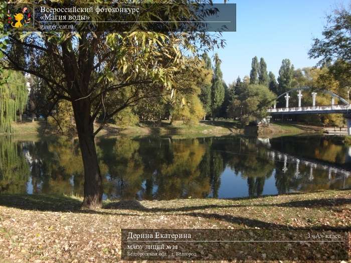 Всероссийский фотоконкурс «Магия воды»  - детский рисунок, поделка, творческая работа, категория школьники, 3 класс, дистанционный конкурс, школьный конкурс