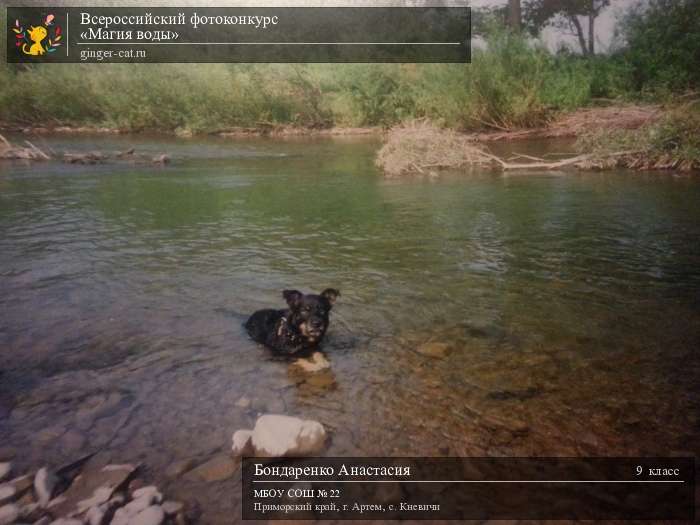 Всероссийский фотоконкурс «Магия воды»  - детский рисунок, поделка, творческая работа, категория школьники, 9 класс, дистанционный конкурс, школьный конкурс