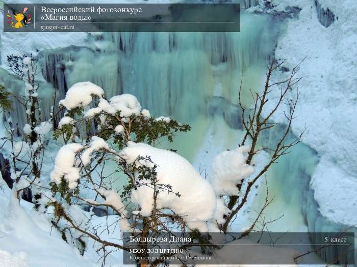 Всероссийский фотоконкурс «Магия воды»  - детский рисунок, поделка, творческая работа, категория школьники, 5 класс, дистанционный конкурс, школьный конкурс