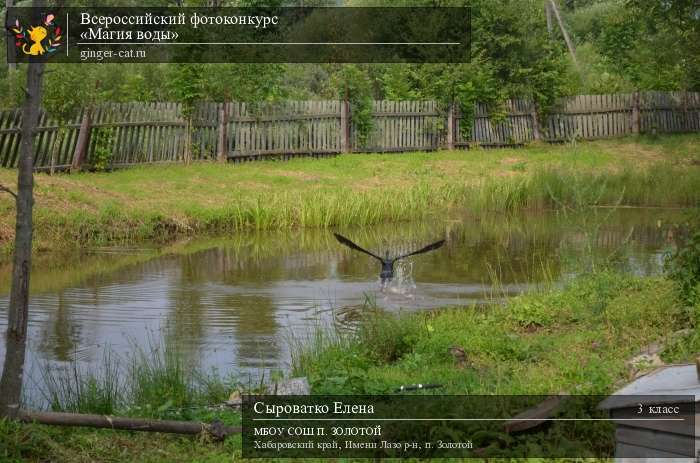 Всероссийский фотоконкурс «Магия воды»  - детский рисунок, поделка, творческая работа, категория школьники, 3 класс, дистанционный конкурс, школьный конкурс