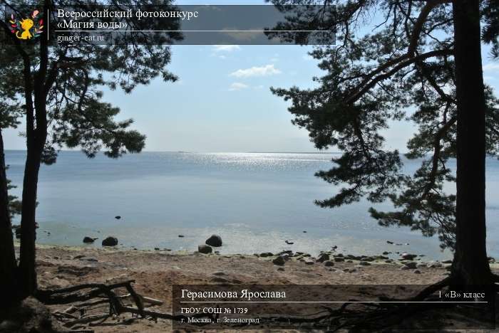 Всероссийский фотоконкурс «Магия воды»  - детский рисунок, поделка, творческая работа, категория школьники, 1 класс, дистанционный конкурс, школьный конкурс