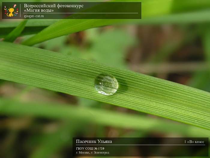 Всероссийский фотоконкурс «Магия воды»  - детский рисунок, поделка, творческая работа, категория школьники, 1 класс, дистанционный конкурс, школьный конкурс