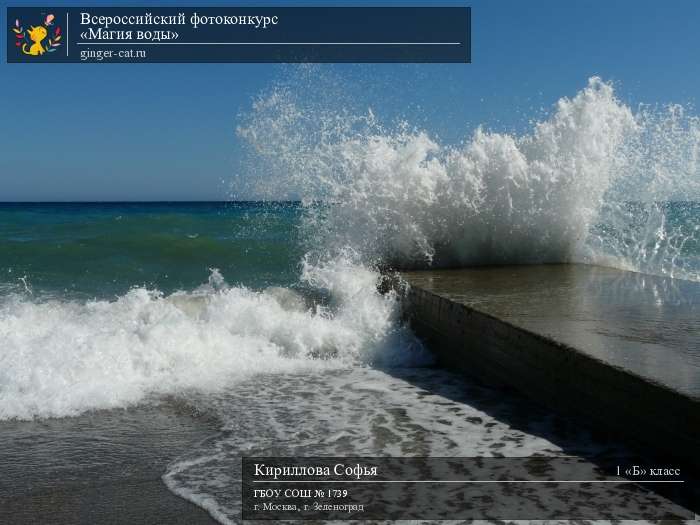 Всероссийский фотоконкурс «Магия воды»  - детский рисунок, поделка, творческая работа, категория школьники, 1 класс, дистанционный конкурс, школьный конкурс