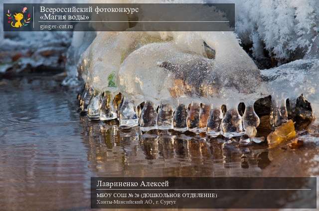 Всероссийский фотоконкурс «Магия воды»  - детский рисунок, поделка, творческая работа, категория дошкольники, детский сад, дистанционный конкурс, школьный конкурс