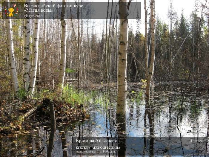 Всероссийский фотоконкурс «Магия воды»  - детский рисунок, поделка, творческая работа, категория школьники, 4 класс, дистанционный конкурс, школьный конкурс