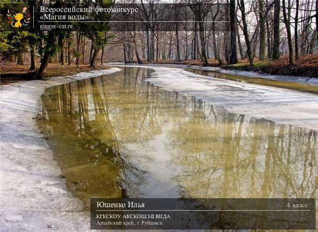 Всероссийский фотоконкурс «Магия воды»  - детский рисунок, поделка, творческая работа, категория школьники, 4 класс, дистанционный конкурс, школьный конкурс