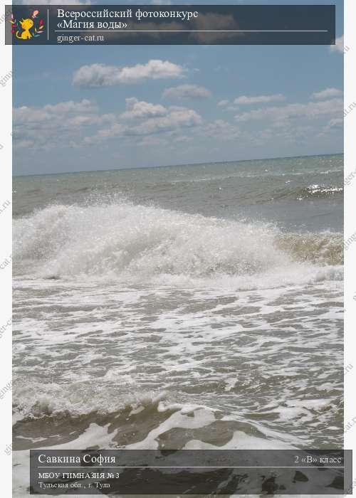 Всероссийский фотоконкурс «Магия воды»  - детский рисунок, поделка, творческая работа, категория школьники, 2 класс, дистанционный конкурс, школьный конкурс