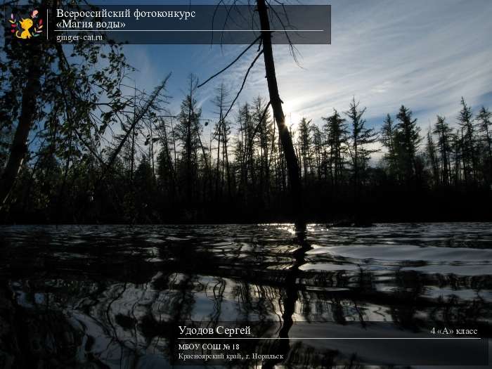 Всероссийский фотоконкурс «Магия воды»  - детский рисунок, поделка, творческая работа, категория школьники, 4 класс, дистанционный конкурс, школьный конкурс