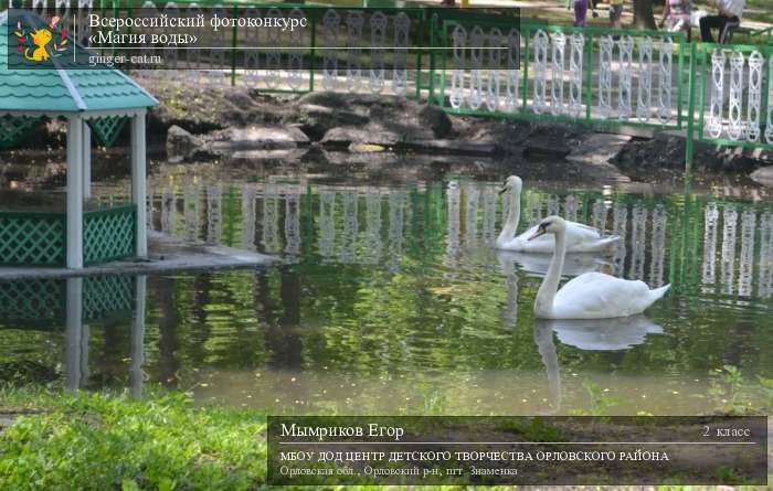 Всероссийский фотоконкурс «Магия воды»  - детский рисунок, поделка, творческая работа, категория школьники, 2 класс, дистанционный конкурс, школьный конкурс