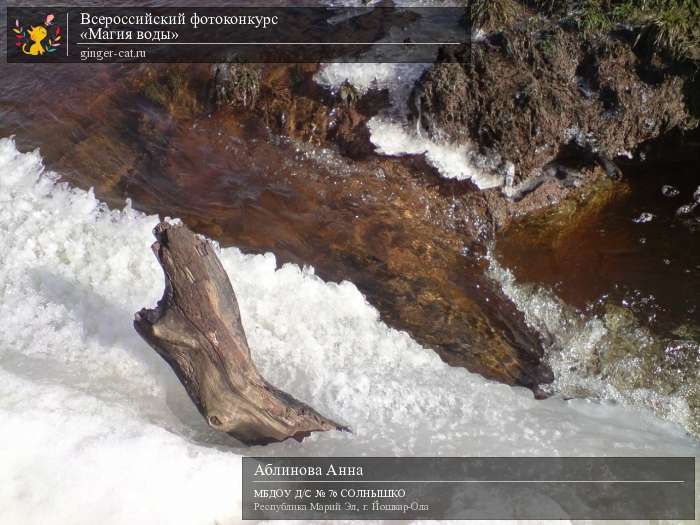 Всероссийский фотоконкурс «Магия воды»  - детский рисунок, поделка, творческая работа, категория дошкольники, детский сад, дистанционный конкурс, школьный конкурс