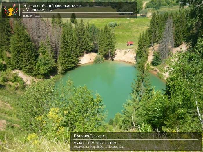 Всероссийский фотоконкурс «Магия воды»  - детский рисунок, поделка, творческая работа, категория дошкольники, детский сад, дистанционный конкурс, школьный конкурс