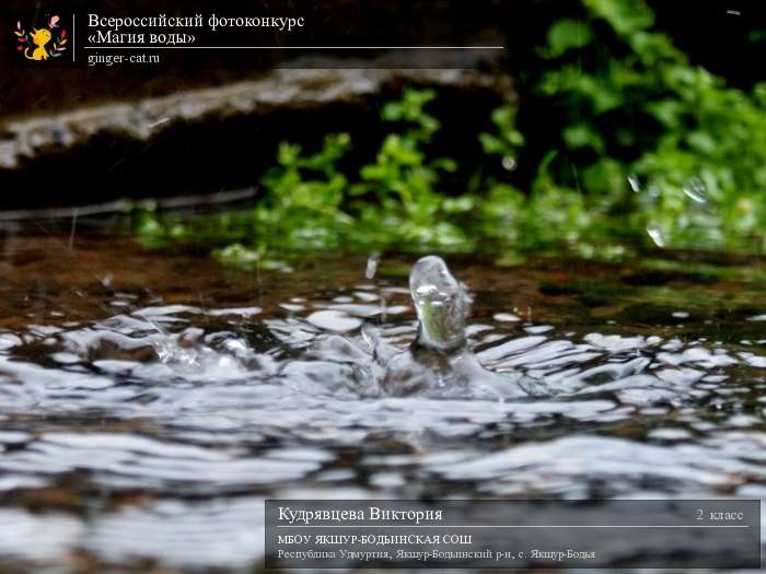 Всероссийский фотоконкурс «Магия воды»  - детский рисунок, поделка, творческая работа, категория школьники, 2 класс, дистанционный конкурс, школьный конкурс