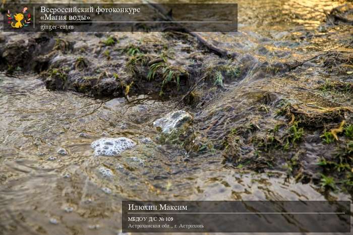 Всероссийский фотоконкурс «Магия воды»  - детский рисунок, поделка, творческая работа, категория дошкольники, детский сад, дистанционный конкурс, школьный конкурс