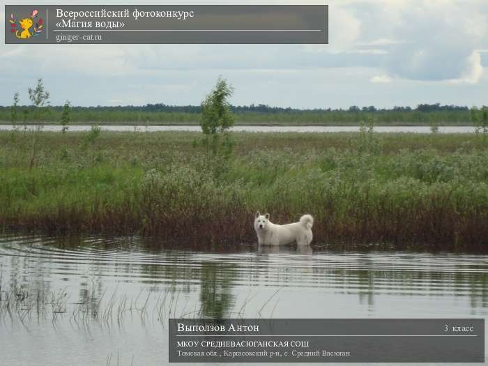 Всероссийский фотоконкурс «Магия воды»  - детский рисунок, поделка, творческая работа, категория школьники, 3 класс, дистанционный конкурс, школьный конкурс