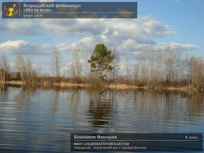 Всероссийский фотоконкурс «Магия воды»  - детский рисунок, поделка, творческая работа, категория школьники, 8 класс, дистанционный конкурс, школьный конкурс