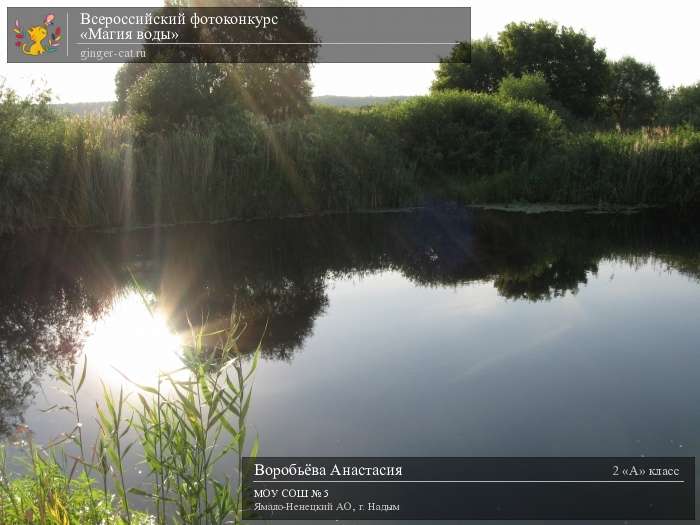 Всероссийский фотоконкурс «Магия воды»  - детский рисунок, поделка, творческая работа, категория школьники, 2 класс, дистанционный конкурс, школьный конкурс