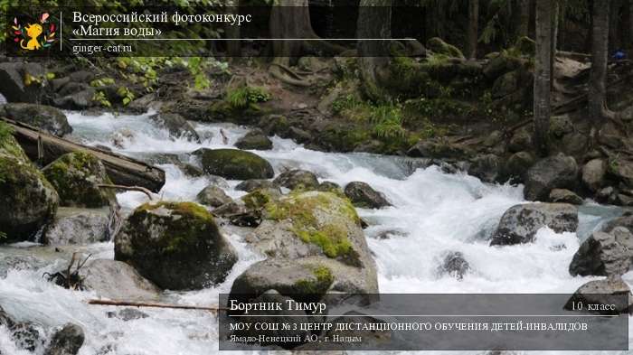 Всероссийский фотоконкурс «Магия воды»  - детский рисунок, поделка, творческая работа, категория школьники, 10 класс, дистанционный конкурс, школьный конкурс