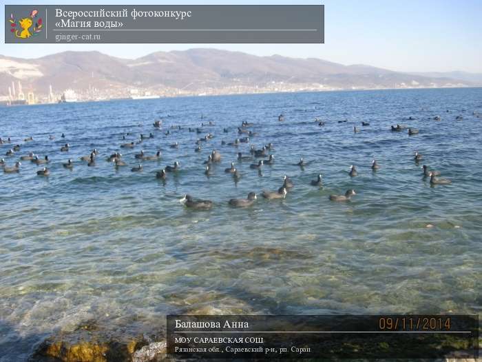 Всероссийский фотоконкурс «Магия воды»  - детский рисунок, поделка, творческая работа, категория дошкольники, детский сад, дистанционный конкурс, школьный конкурс