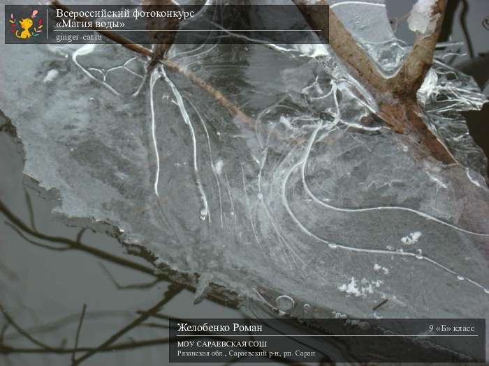 Всероссийский фотоконкурс «Магия воды»  - детский рисунок, поделка, творческая работа, категория школьники, 9 класс, дистанционный конкурс, школьный конкурс