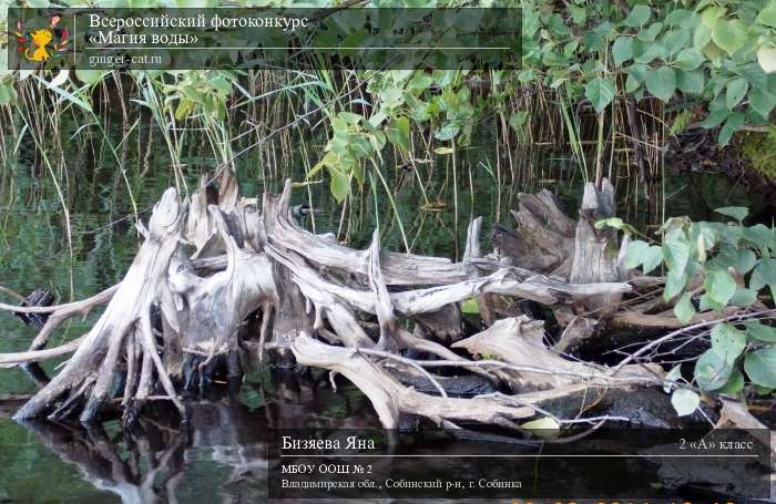 Всероссийский фотоконкурс «Магия воды»  - детский рисунок, поделка, творческая работа, категория школьники, 2 класс, дистанционный конкурс, школьный конкурс