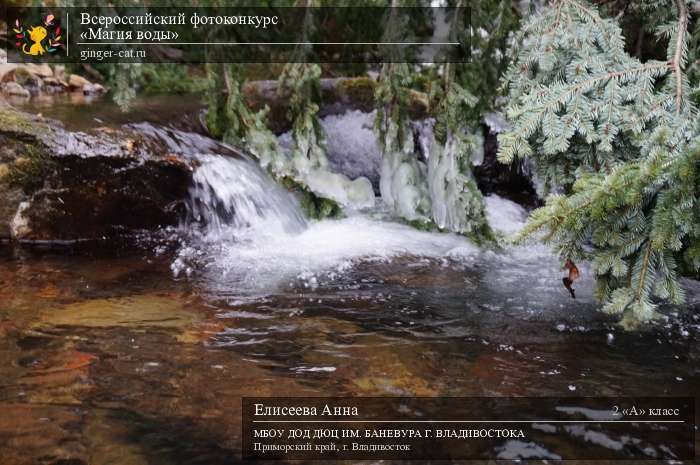 Всероссийский фотоконкурс «Магия воды»  - детский рисунок, поделка, творческая работа, категория школьники, 2 класс, дистанционный конкурс, школьный конкурс