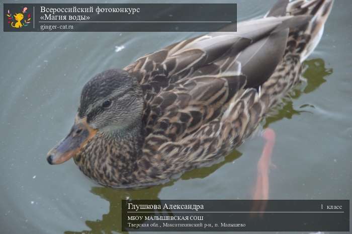 Всероссийский фотоконкурс «Магия воды»  - детский рисунок, поделка, творческая работа, категория школьники, 1 класс, дистанционный конкурс, школьный конкурс