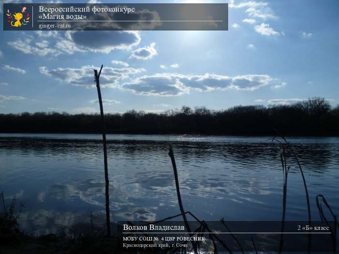 Всероссийский фотоконкурс «Магия воды»  - детский рисунок, поделка, творческая работа, категория школьники, 2 класс, дистанционный конкурс, школьный конкурс