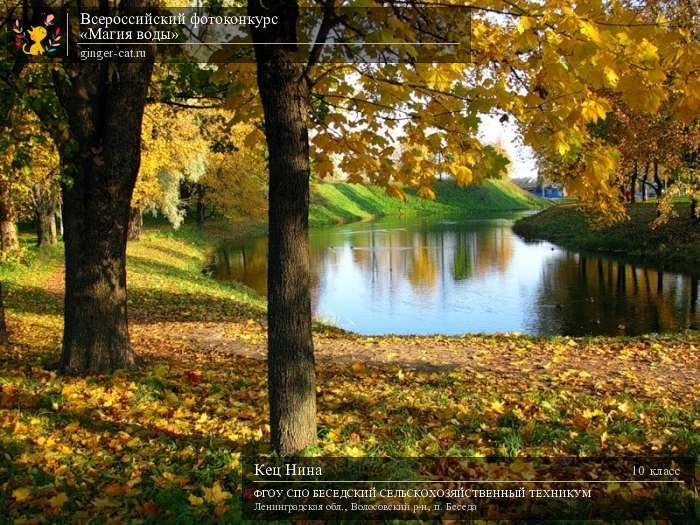 Всероссийский фотоконкурс «Магия воды»  - детский рисунок, поделка, творческая работа, категория школьники, 10 класс, дистанционный конкурс, школьный конкурс