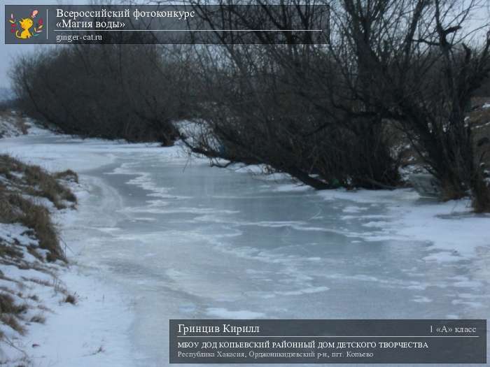 Всероссийский фотоконкурс «Магия воды»  - детский рисунок, поделка, творческая работа, категория школьники, 1 класс, дистанционный конкурс, школьный конкурс