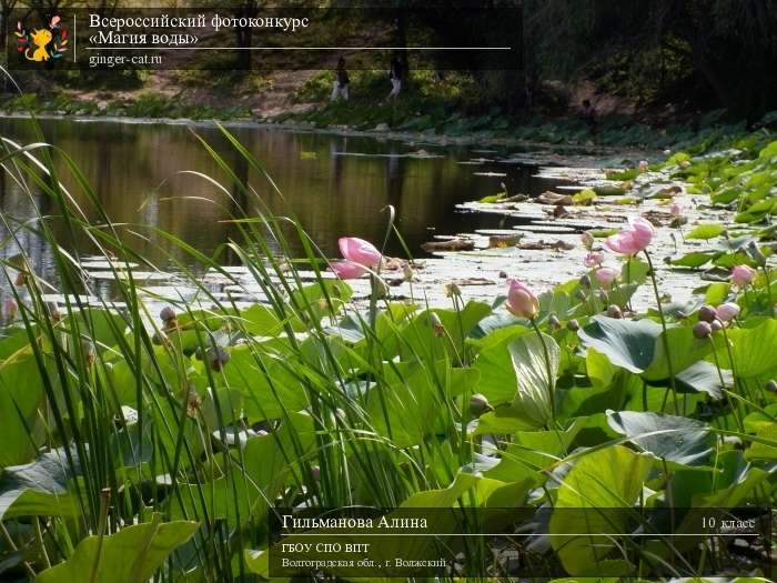 Всероссийский фотоконкурс «Магия воды»  - детский рисунок, поделка, творческая работа, категория школьники, 10 класс, дистанционный конкурс, школьный конкурс