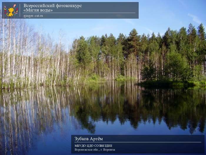 Всероссийский фотоконкурс «Магия воды»  - детский рисунок, поделка, творческая работа, категория дошкольники, детский сад, дистанционный конкурс, школьный конкурс