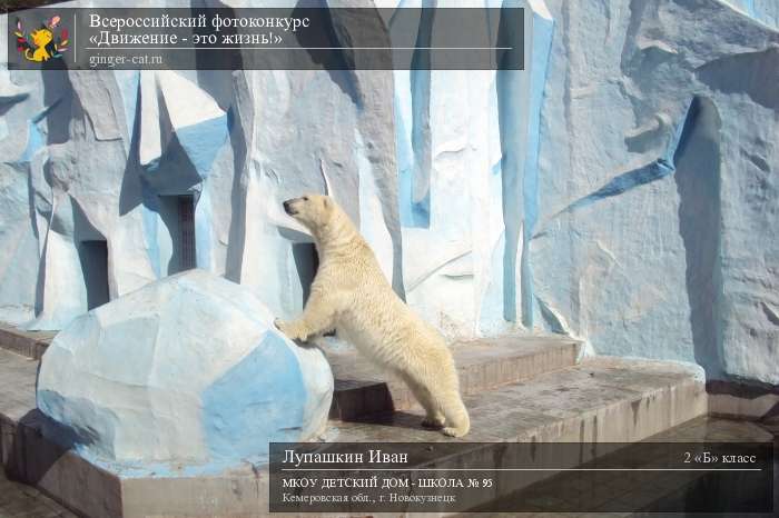 Всероссийский фотоконкурс «Движение - это жизнь!»  - детский рисунок, поделка, творческая работа, категория школьники, 2 класс, дистанционный конкурс, школьный конкурс