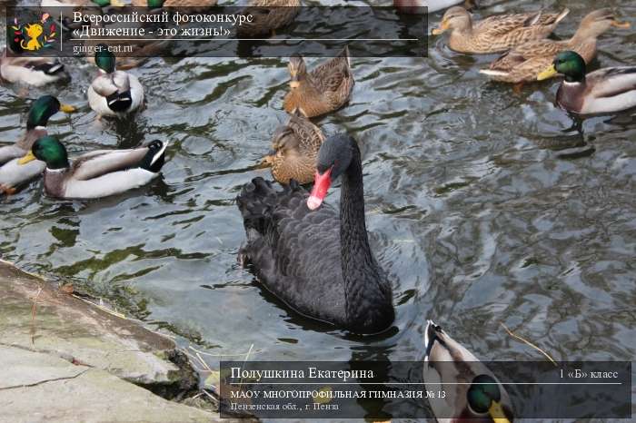 Всероссийский фотоконкурс «Движение - это жизнь!»  - детский рисунок, поделка, творческая работа, категория школьники, 1 класс, дистанционный конкурс, школьный конкурс