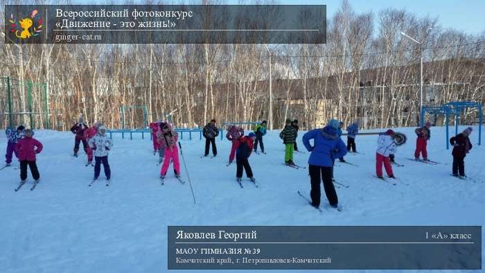 Всероссийский фотоконкурс «Движение - это жизнь!»  - детский рисунок, поделка, творческая работа, категория школьники, 1 класс, дистанционный конкурс, школьный конкурс