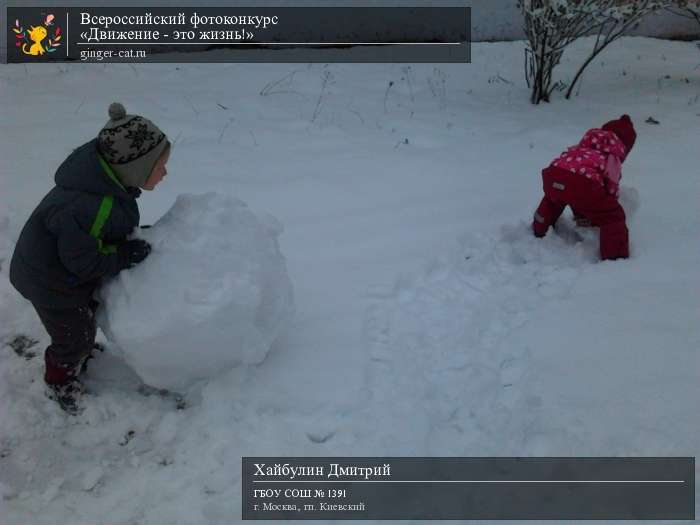 Всероссийский фотоконкурс «Движение - это жизнь!»  - детский рисунок, поделка, творческая работа, категория дошкольники, детский сад, дистанционный конкурс, школьный конкурс