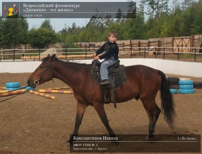 Всероссийский фотоконкурс «Движение - это жизнь!»  - детский рисунок, поделка, творческая работа, категория школьники, 3 класс, дистанционный конкурс, школьный конкурс