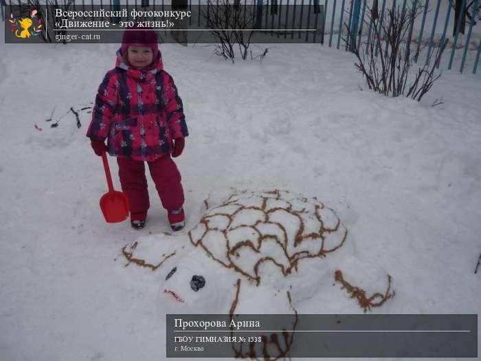 Всероссийский фотоконкурс «Движение - это жизнь!»  - детский рисунок, поделка, творческая работа, категория дошкольники, детский сад, дистанционный конкурс, школьный конкурс