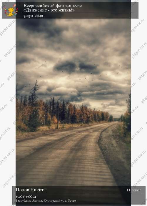 Всероссийский фотоконкурс «Движение - это жизнь!»  - детский рисунок, поделка, творческая работа, категория школьники, 11 класс, дистанционный конкурс, школьный конкурс