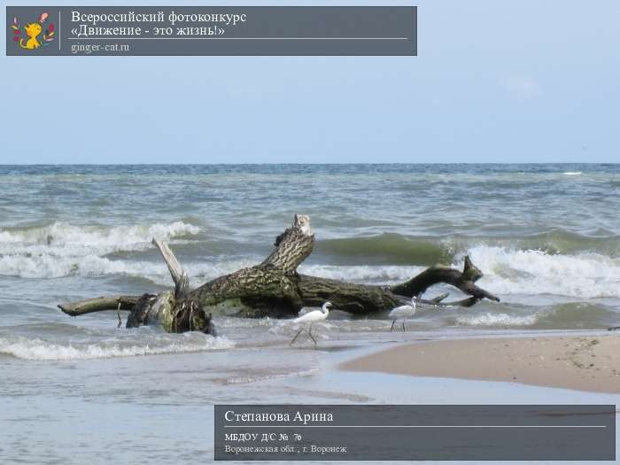 Всероссийский фотоконкурс «Движение - это жизнь!»  - детский рисунок, поделка, творческая работа, категория дошкольники, детский сад, дистанционный конкурс, школьный конкурс