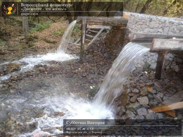 Всероссийский фотоконкурс «Движение - это жизнь!»  - детский рисунок, поделка, творческая работа, категория дошкольники, детский сад, дистанционный конкурс, школьный конкурс