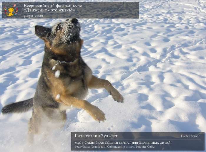 Всероссийский фотоконкурс «Движение - это жизнь!»  - детский рисунок, поделка, творческая работа, категория школьники, 1 класс, дистанционный конкурс, школьный конкурс