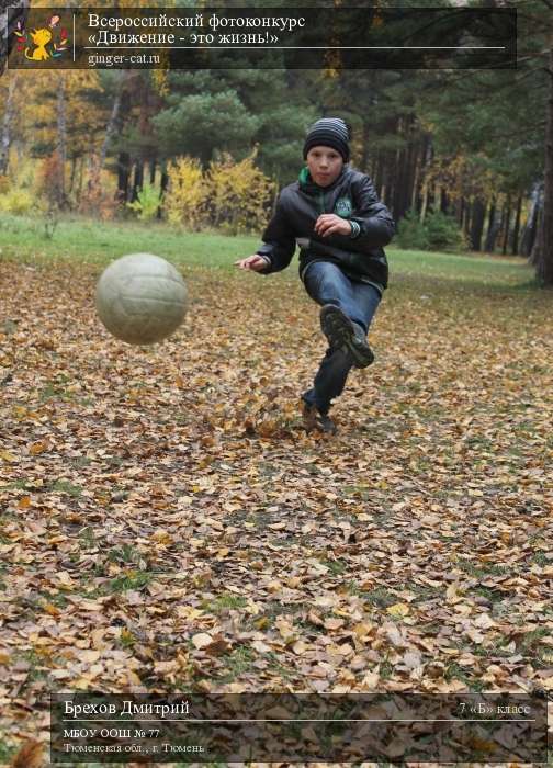 Всероссийский фотоконкурс «Движение - это жизнь!»  - детский рисунок, поделка, творческая работа, категория школьники, 7 класс, дистанционный конкурс, школьный конкурс