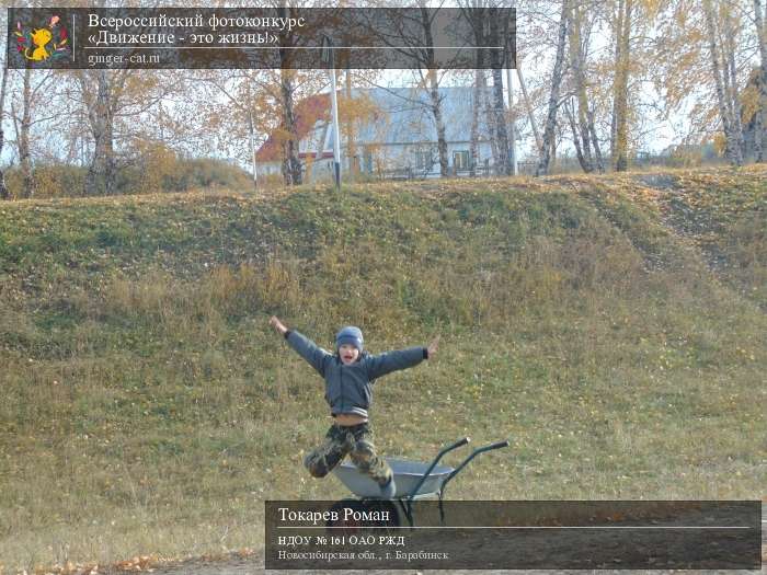 Всероссийский фотоконкурс «Движение - это жизнь!»  - детский рисунок, поделка, творческая работа, категория дошкольники, детский сад, дистанционный конкурс, школьный конкурс