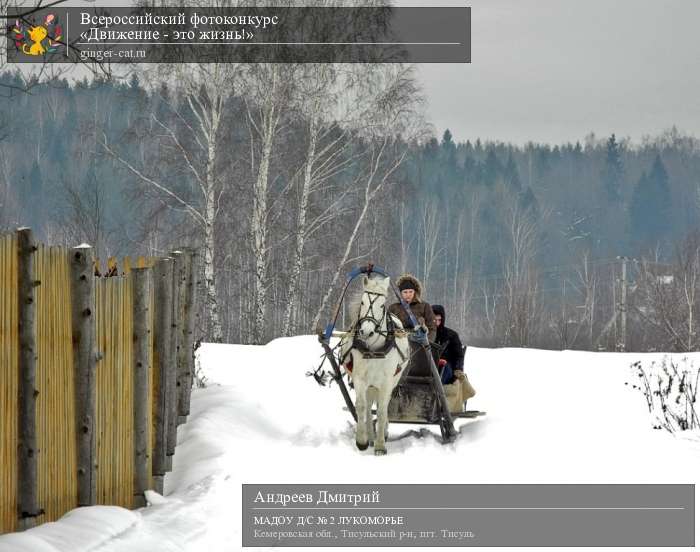 Всероссийский фотоконкурс «Движение - это жизнь!»  - детский рисунок, поделка, творческая работа, категория дошкольники, детский сад, дистанционный конкурс, школьный конкурс