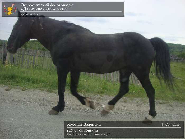 Всероссийский фотоконкурс «Движение - это жизнь!»  - детский рисунок, поделка, творческая работа, категория школьники, 8 класс, дистанционный конкурс, школьный конкурс